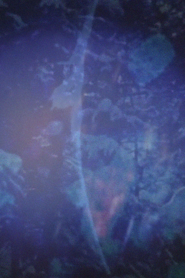 Dog Star Man