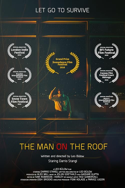 The man on the roof