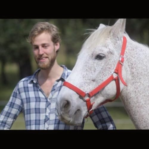 Paardenkracht