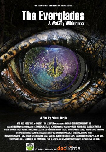The Everglades