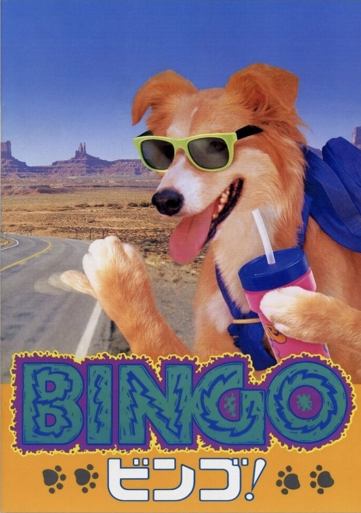 Bingo