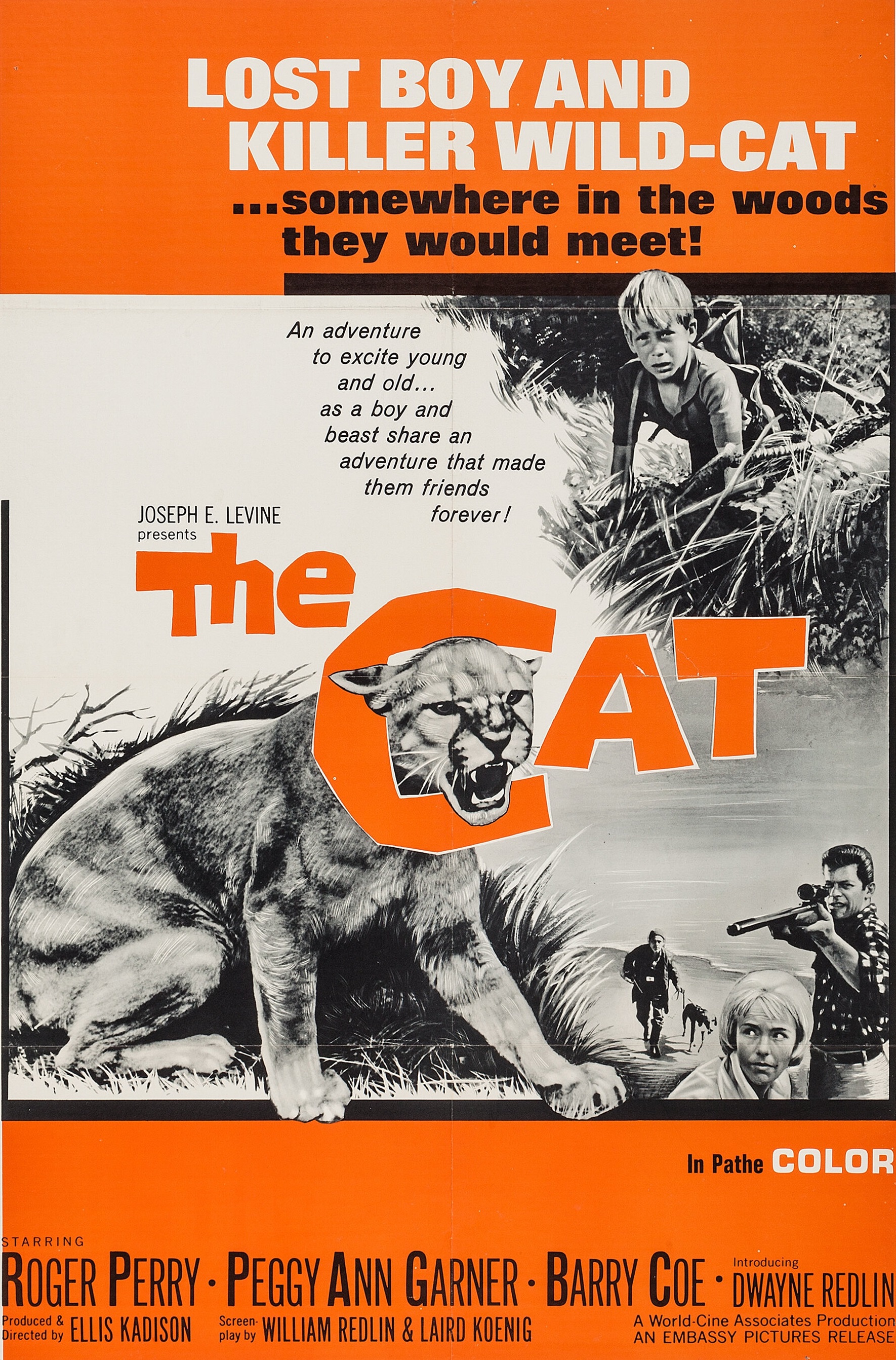 The Cat