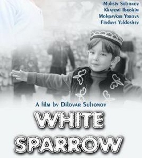 White Sparrow