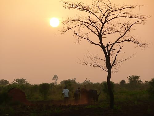 Canaan Farm