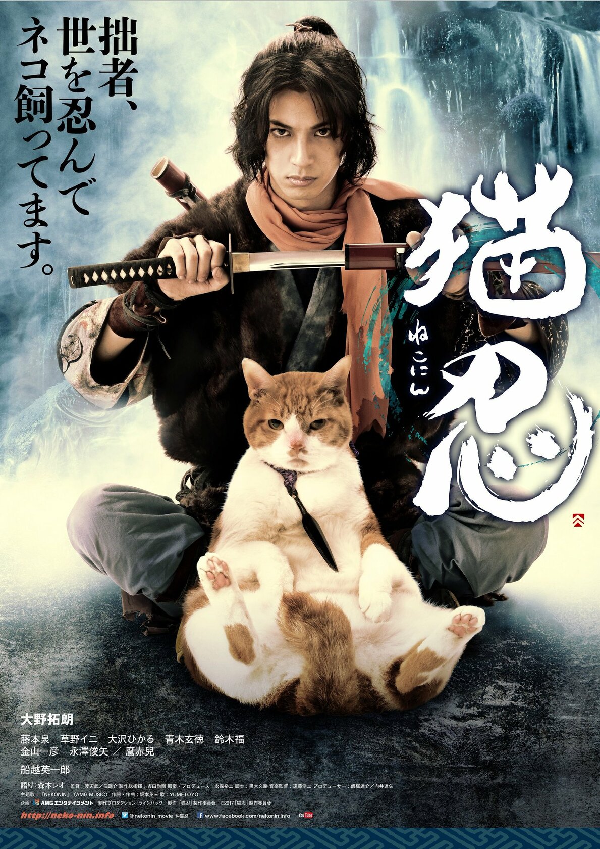 Нинздя и кот