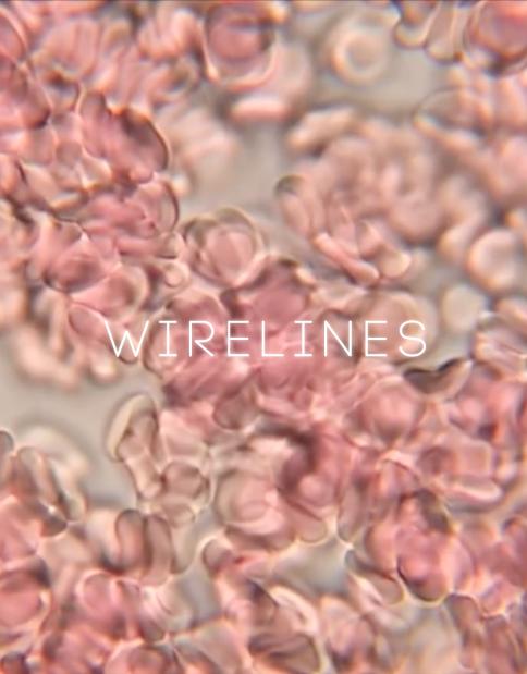 WireLines