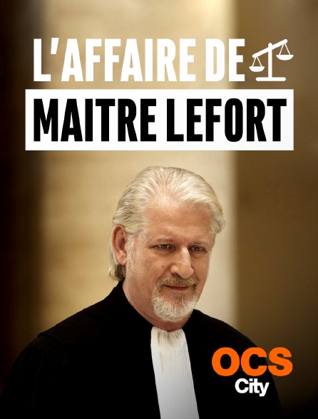 L'affaire de Maître Lefort