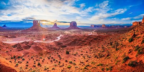 Desolate Beauty