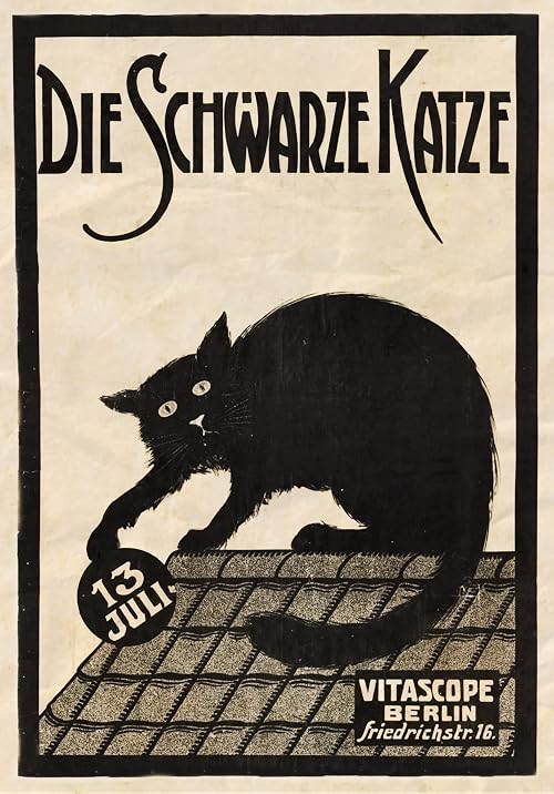 Die schwarze Katze 2. Teil