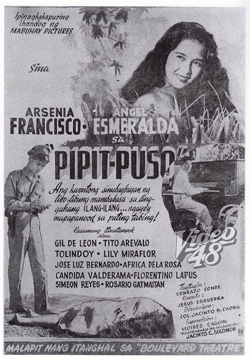 Pipit-Puso
