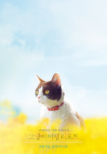Tabineko ripoto