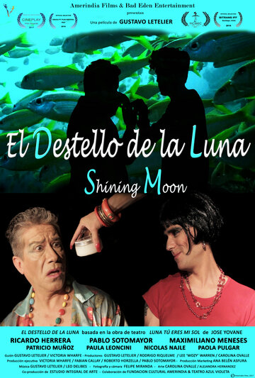 El destello de la luna