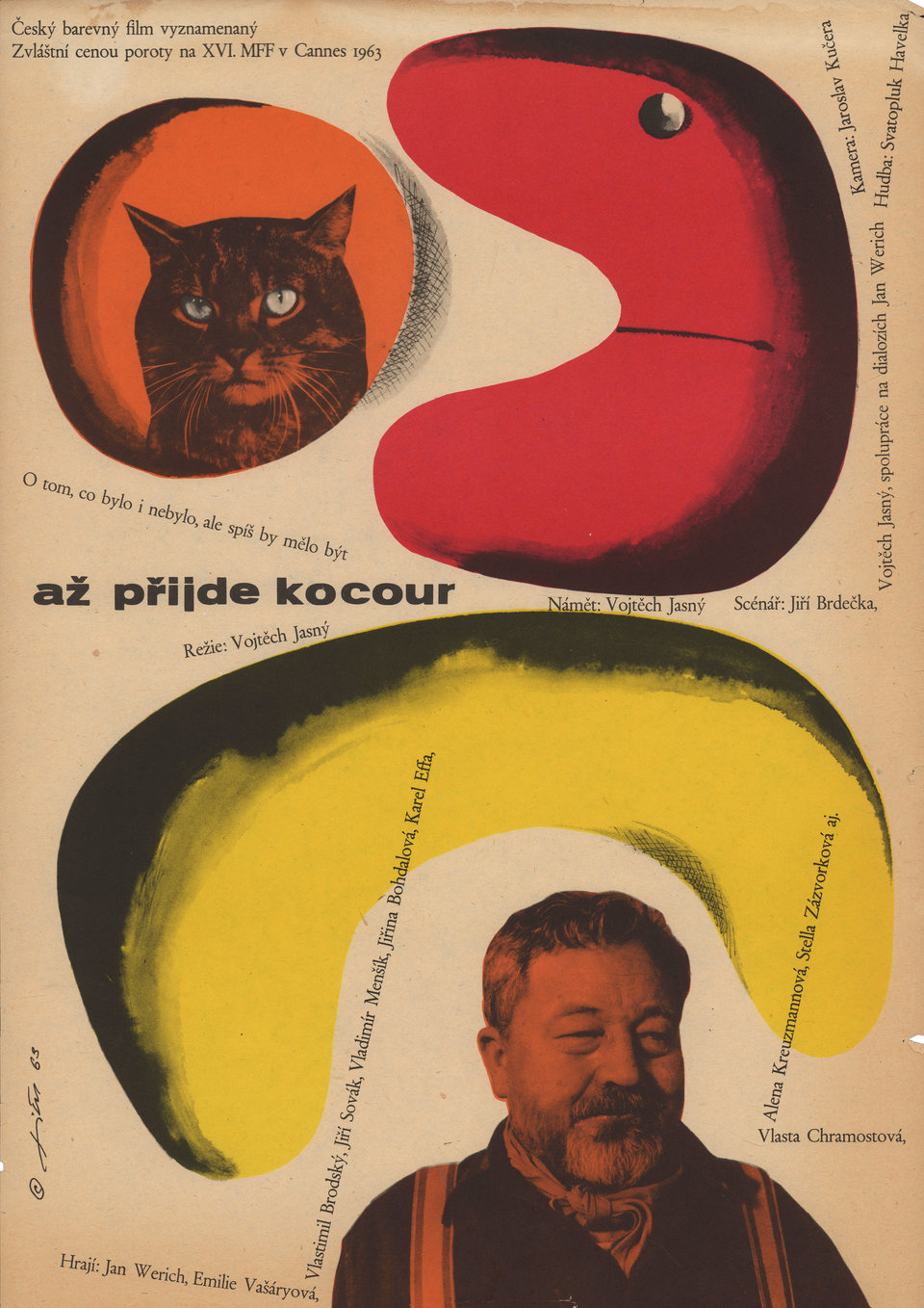 Вот придет кот
