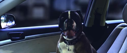 Dogs in Slow Motion: Conyers