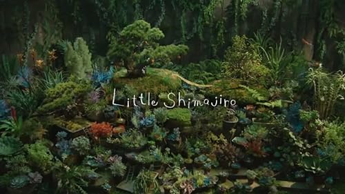 Little Shimajiro