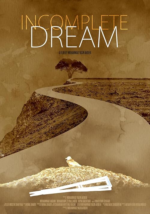 Incomplete Dream