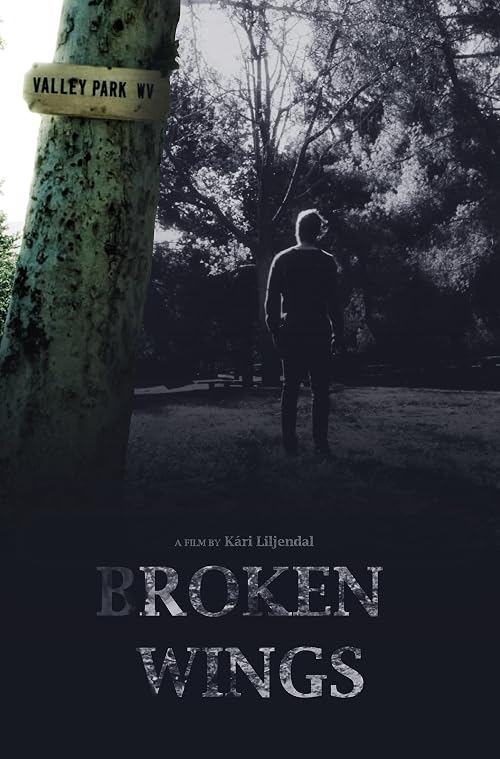 Broken Wings