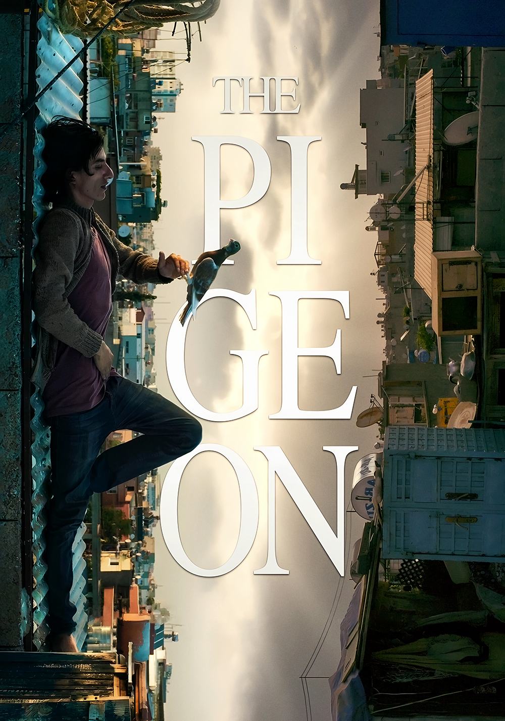 The Pigeon