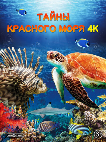 Red Sea 4K