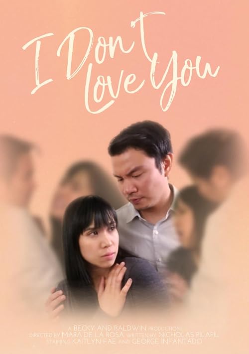 I Don't Love You