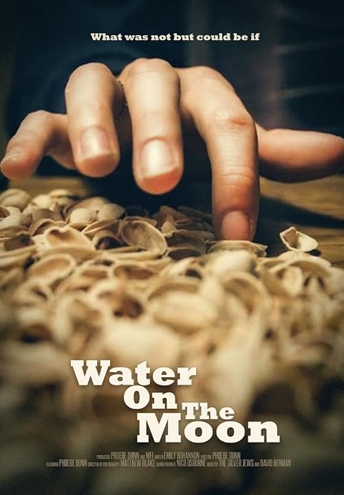 Water on the Moon