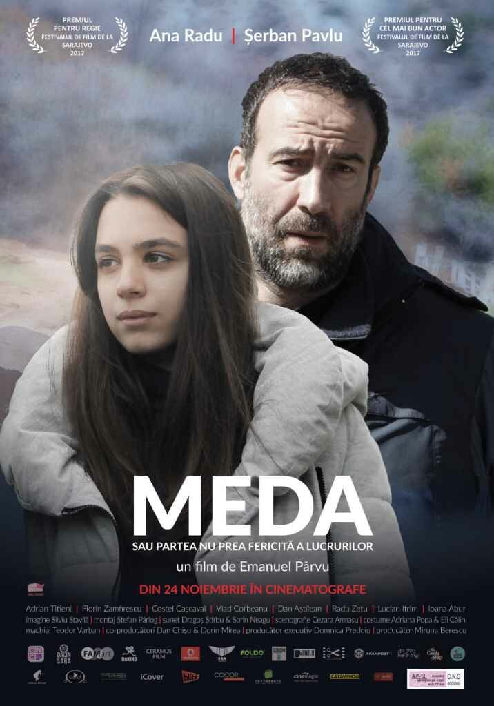 Meda sau Partea nu prea fericita a lucrurilor