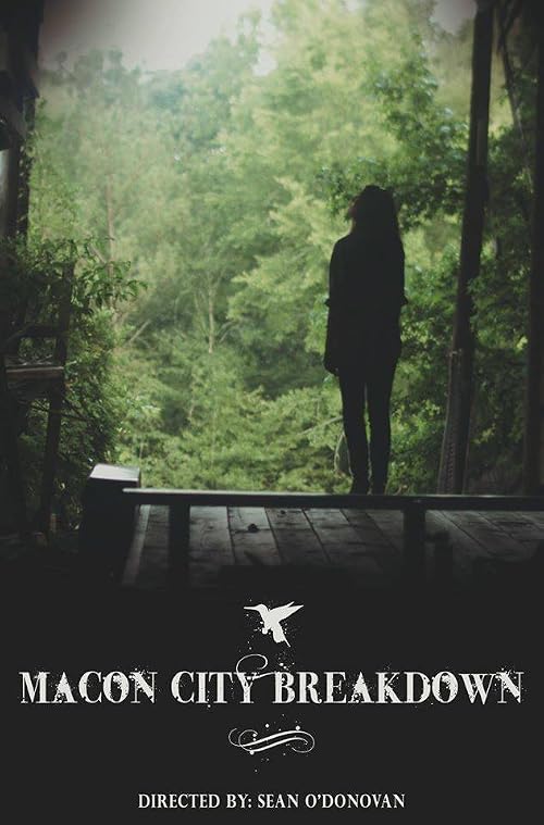 Macon City Breakdown