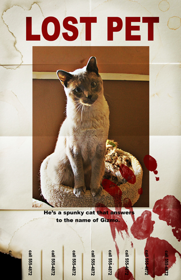 Lost Pet