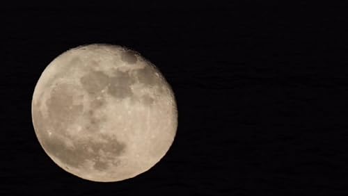 Full Moon & High Tide in the Ladies Room