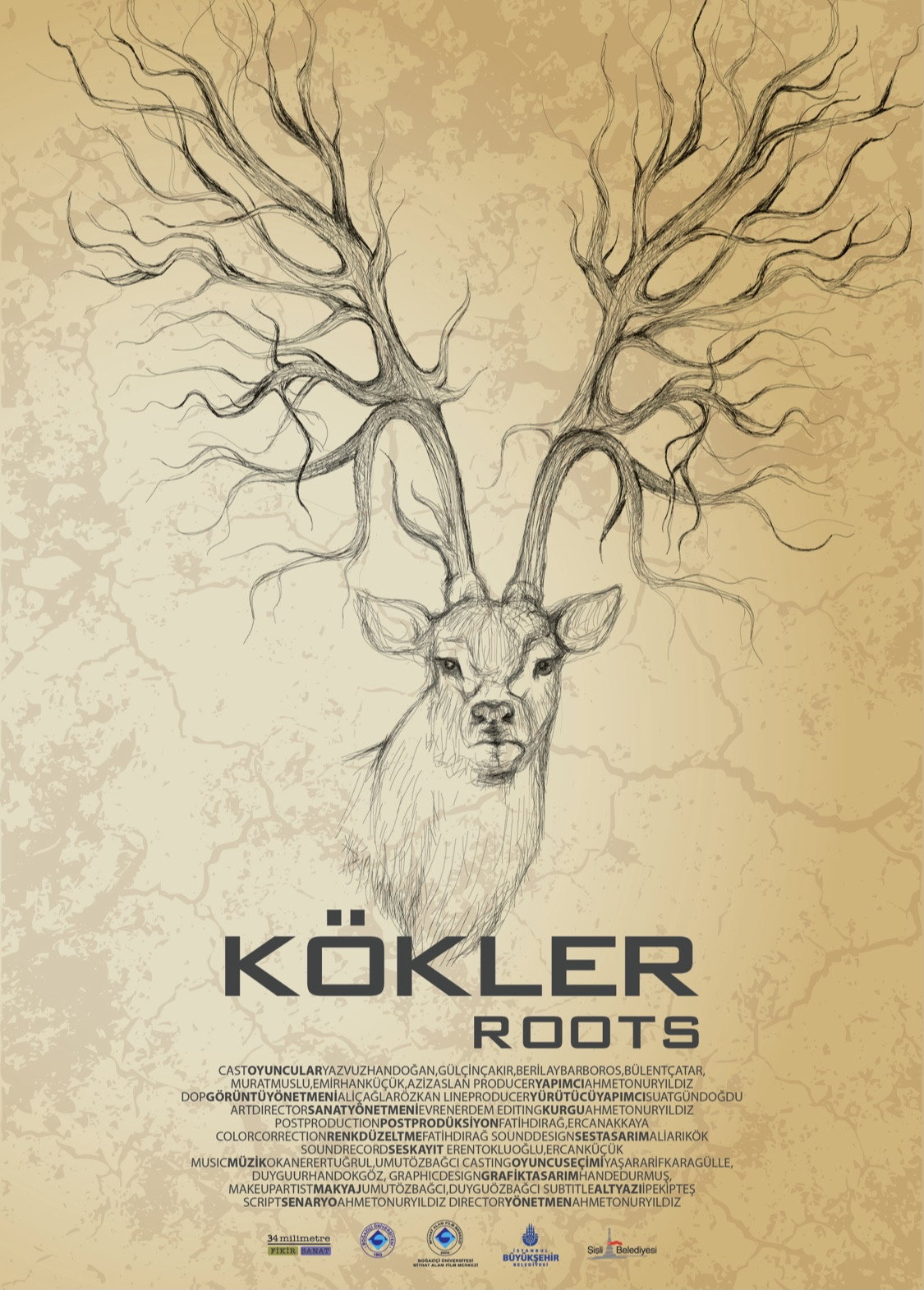 Roots