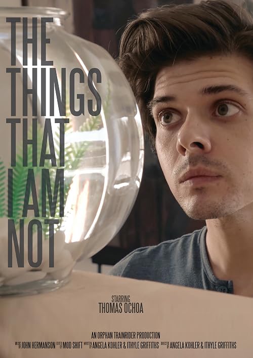 The Things That I Am Not