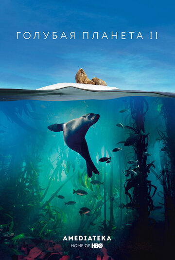 Blue Planet II