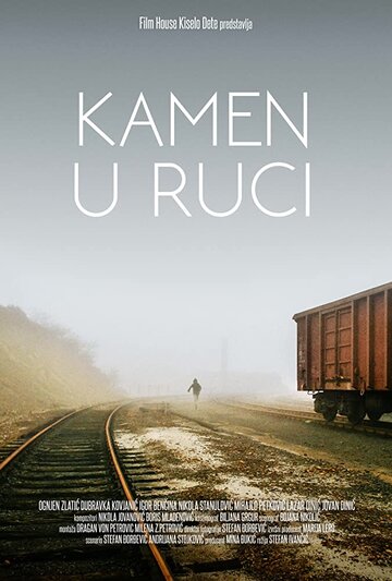 Kamen u ruci