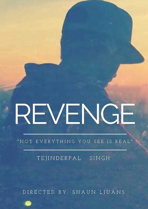 The Revenge Plan