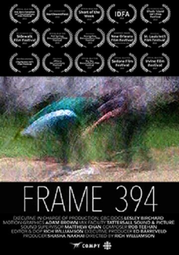 Frame 394