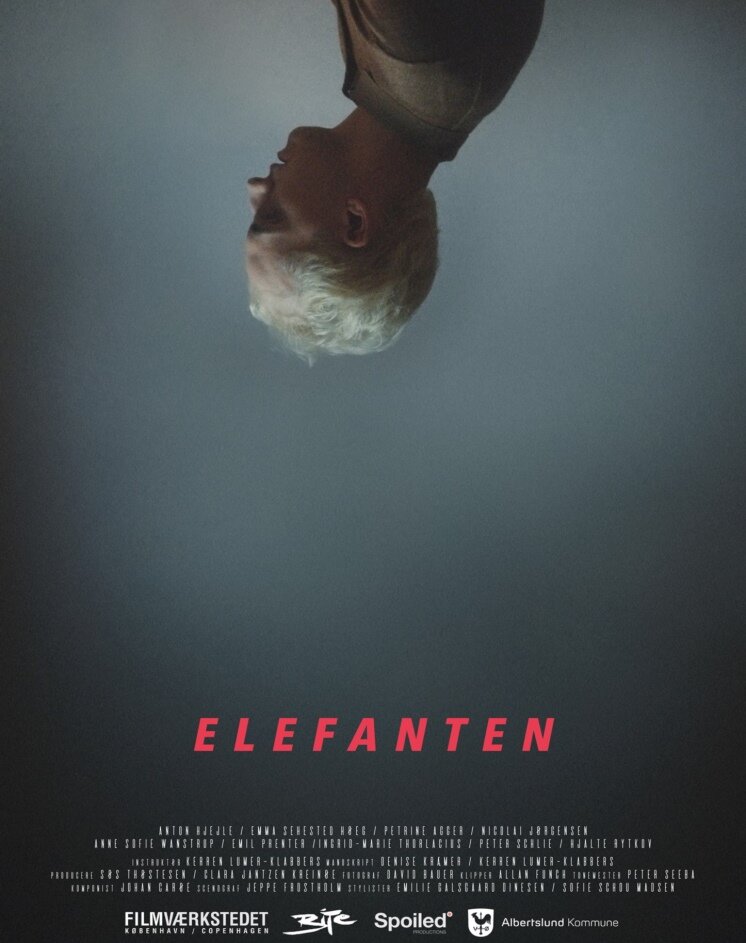 Elefanten