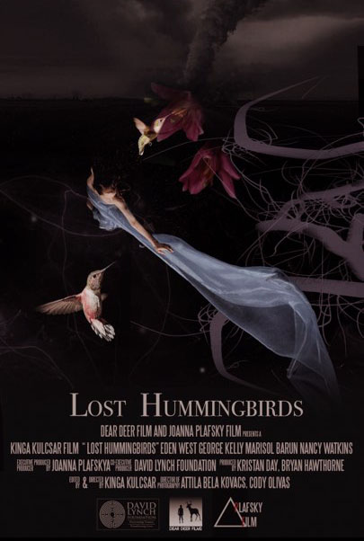 Lost Hummingbirds