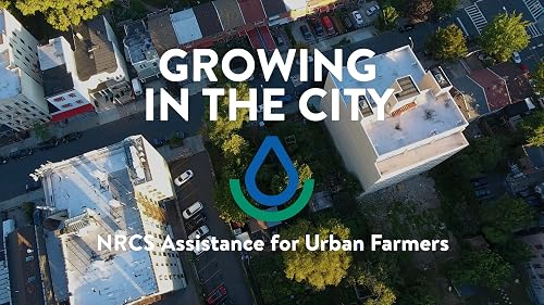 Growing in the City: NRCS Assistance for Urban Farmers