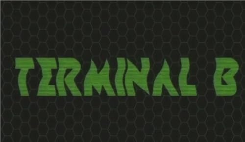 Terminal B