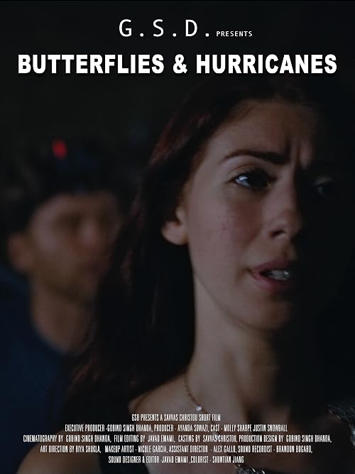 Butterflies and Hurricanes