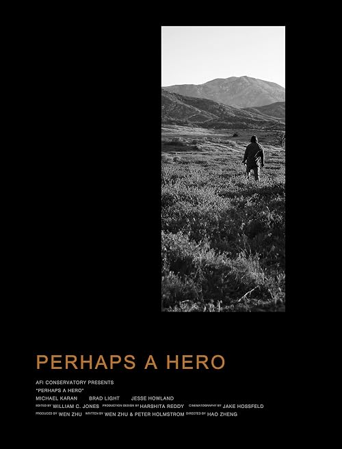 Perhaps a Hero