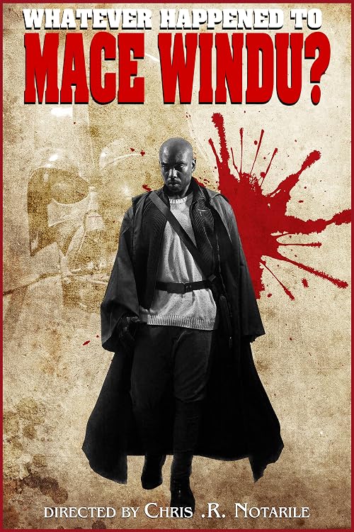 Whatever Happened to Mace Windu?