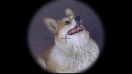 Mormon Dog Story