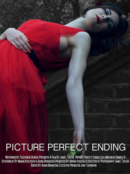 Picture Perfect Ending