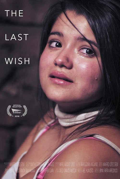 The Last Wish