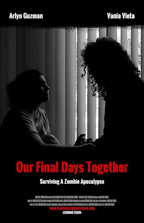 Our Final Days Together