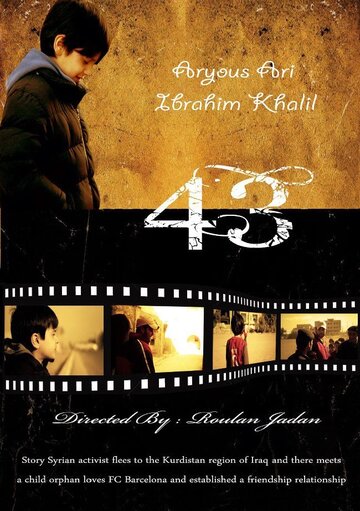 43