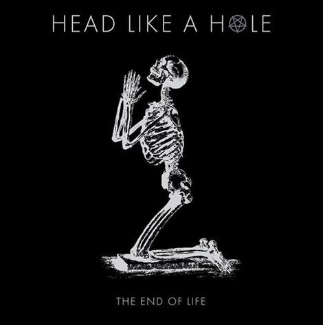 Head Like a Hole: The End of Life