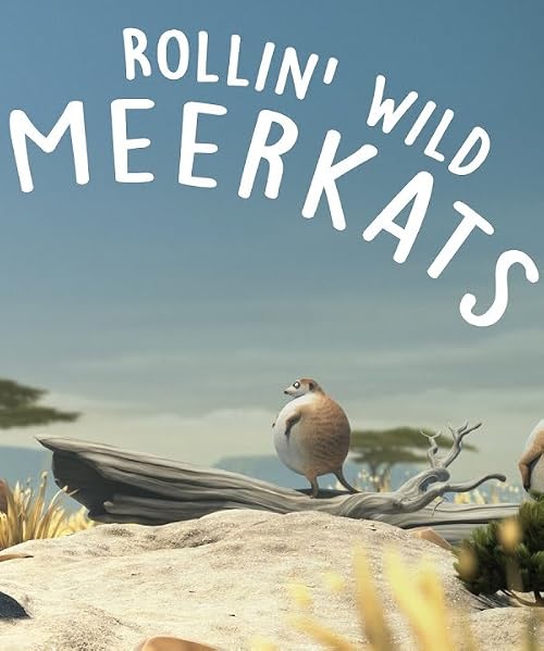 Rollin' Safari: Meerkats