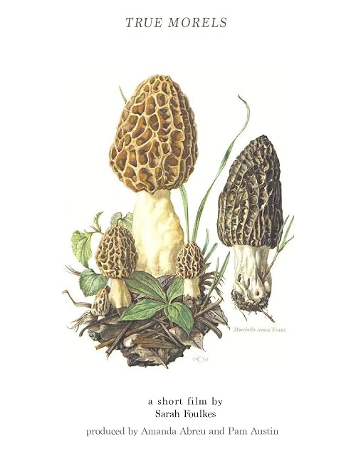 True Morels